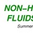 PragueSum_2012 - Non-Homogeneous Fluids and Flows PragueSum_2012 - Non-Homogeneous Fluids and Flows